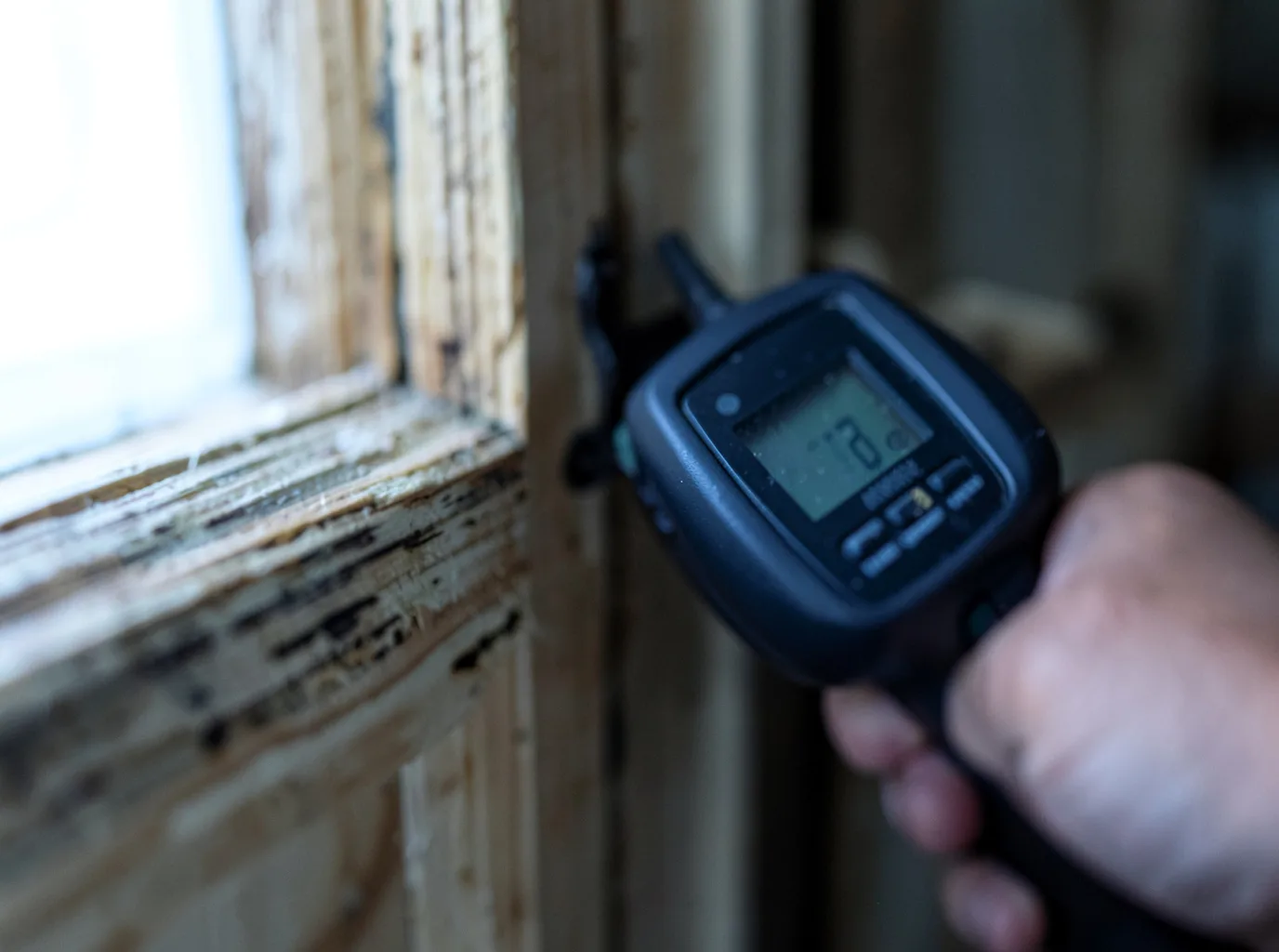 Moisture Inspection And Documentation in Iron City, TN
